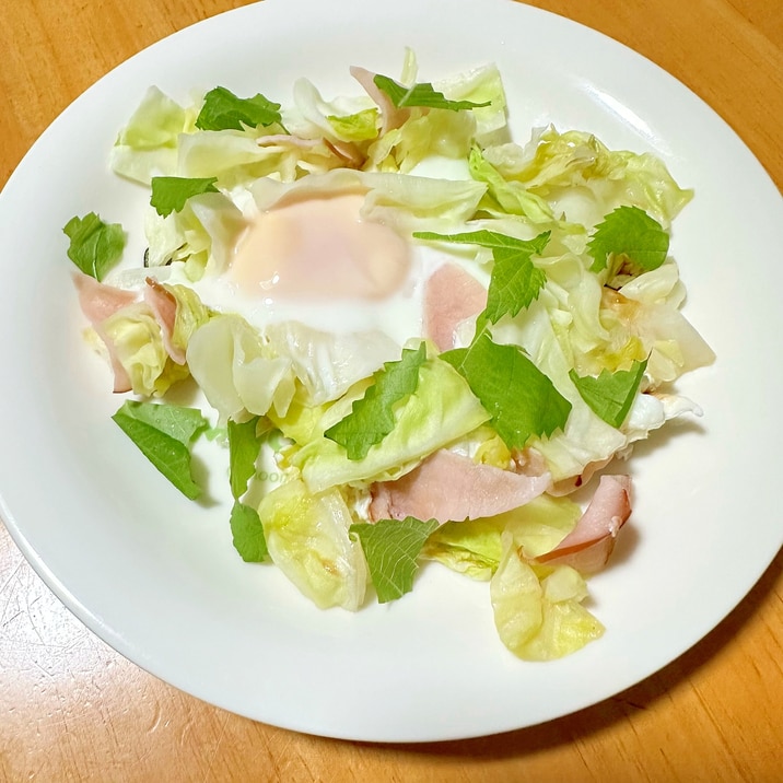 チャチャっと!キャベツとハムの巣ごもり ✲*。